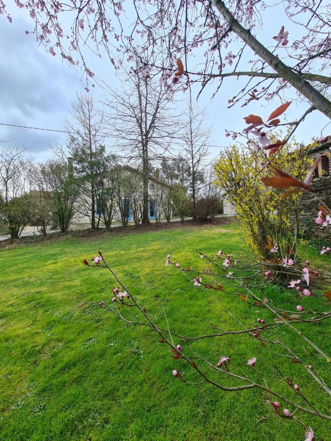 Le Terrier Maison De Campagne 250 M2 Grande Capacite 20 Couchages, 4500M2 De Terrain Villa Saint-Pierre-du-Chemin Exterior photo